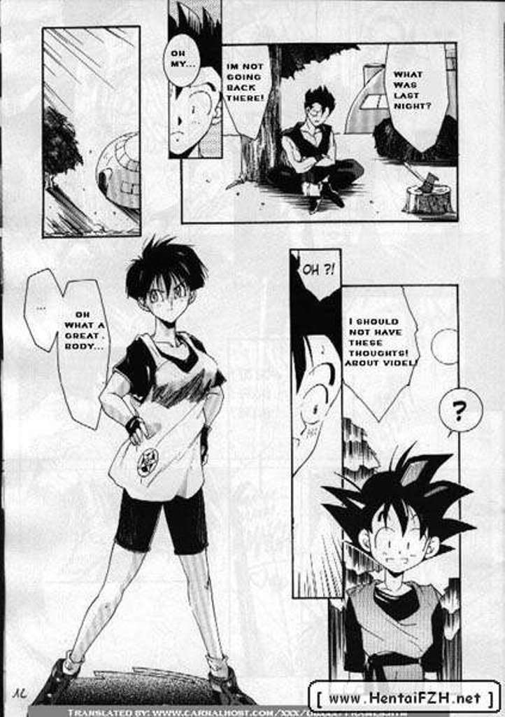 [DBZ] Carpe Diem (English) page 12 full