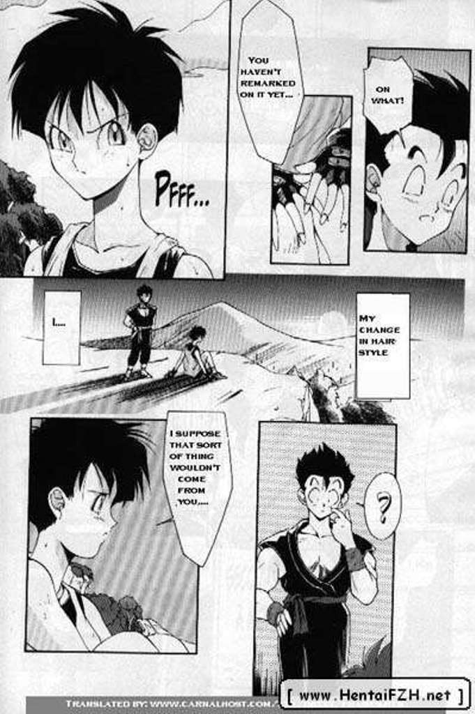 [DBZ] Carpe Diem (English) page 3 full