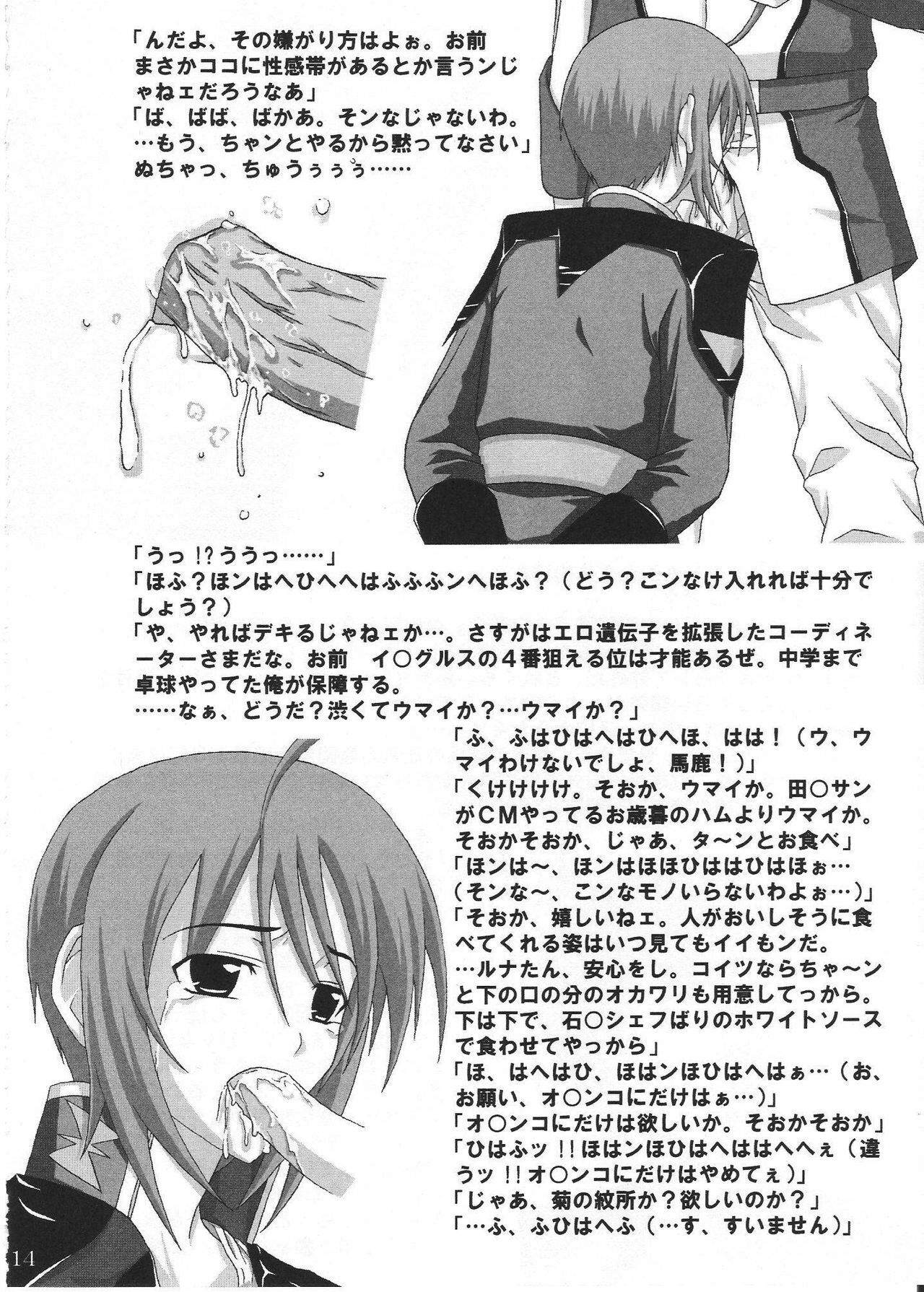 (MenComi33) [Nagoya (Nagoya Takken)] Coordinator (Gundam Seed Destiny) page 13 full