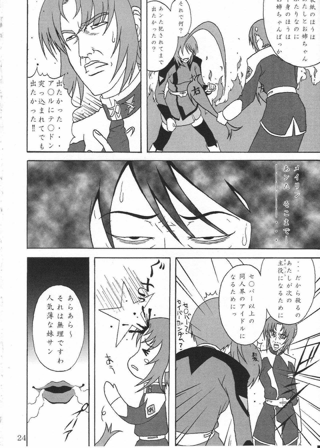 (MenComi33) [Nagoya (Nagoya Takken)] Coordinator (Gundam Seed Destiny) page 23 full