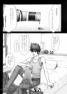 (C62) [Plastic Honey (Makimura Ami)] Virgin Bomber (Macross 7) - page 10