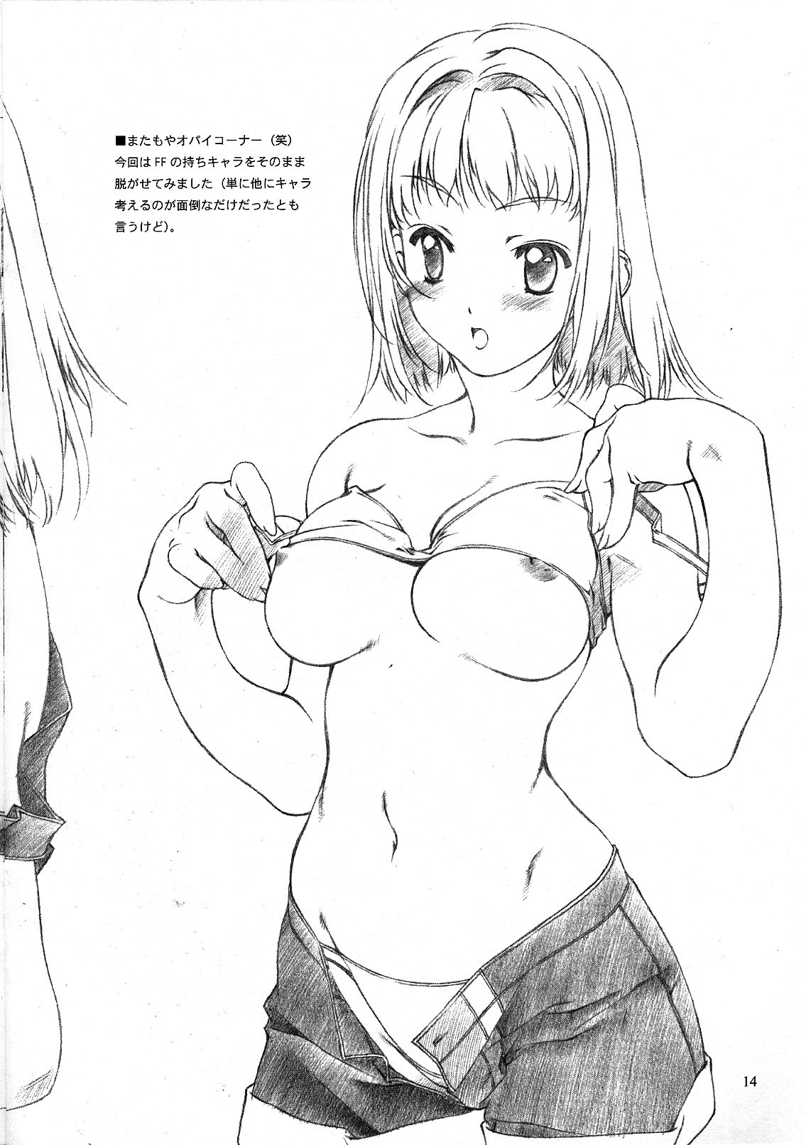 (C64) [Crank.In (Mizutani Tooru)] Materialize II (Final Fantasy XI) page 13 full