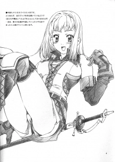 (C64) [Crank.In (Mizutani Tooru)] Materialize II (Final Fantasy XI) - page 3
