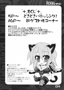 (C72) [Majimeniikite. (Rakuma Kanori)] Dokidoki Punishing! (Fantasy Earth ZERO) [English] [SaHa] - page 3