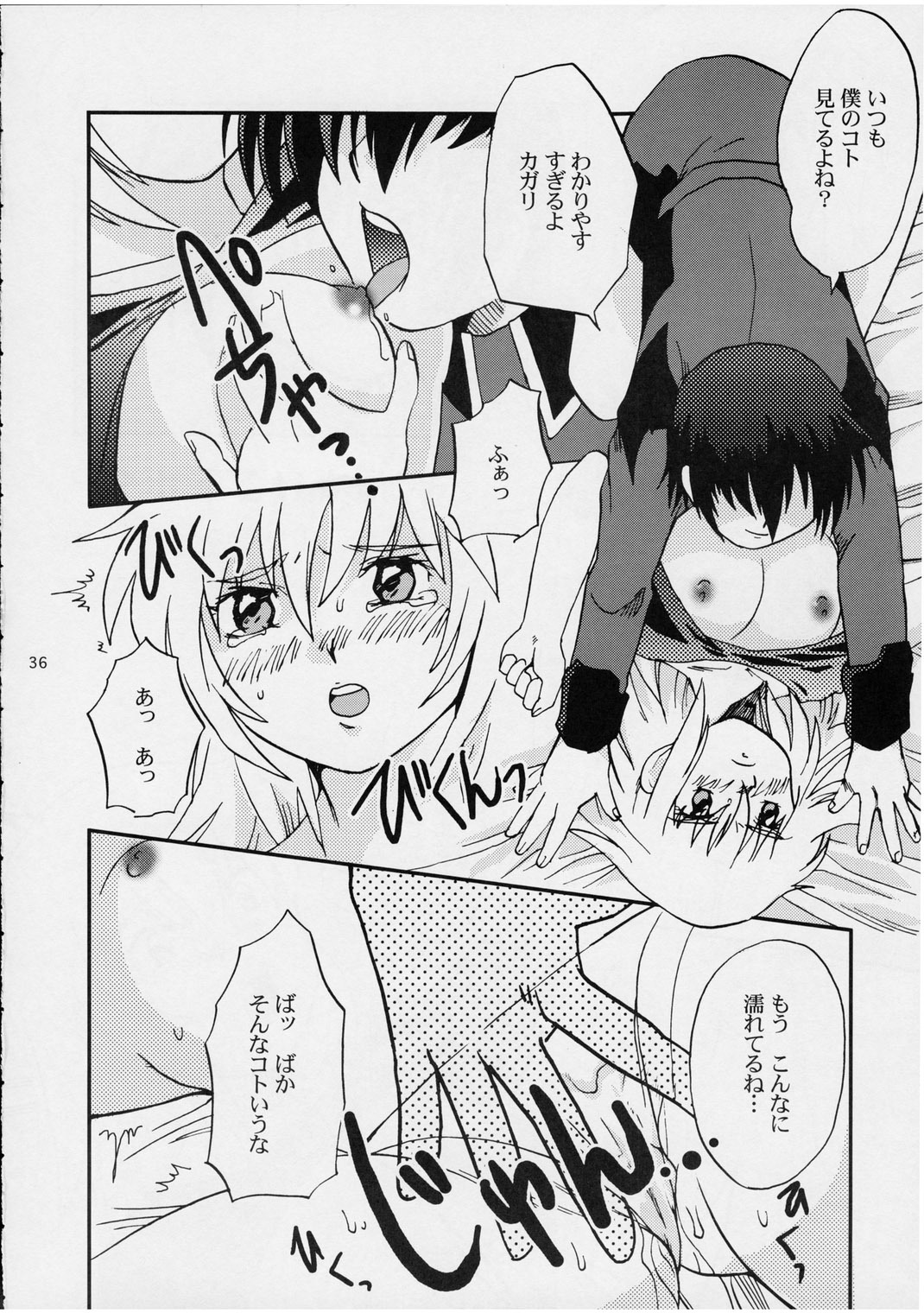 (SC19) [Koutatsu Dennou Koushi (Gunblaster Itou)] Ark Angel (Gundam Seed) page 36 full