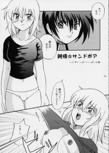 (SC19) [Koutatsu Dennou Koushi (Gunblaster Itou)] Ark Angel (Gundam Seed) - page 35