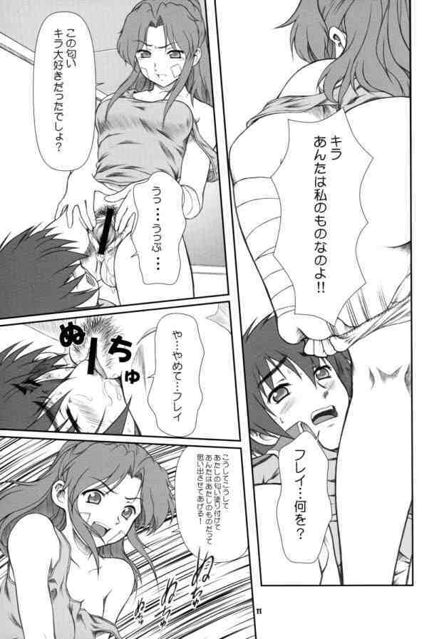 [Otogiya (Mizuki Haruto)] Battle of Twins ~Ketsumatsu no Kizuna~ (Gundam Seed) page 10 full