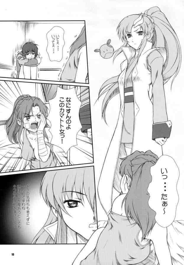 [Otogiya (Mizuki Haruto)] Battle of Twins ~Ketsumatsu no Kizuna~ (Gundam Seed) page 18 full