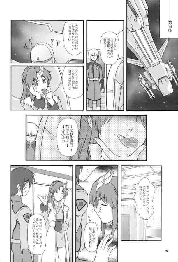 [Otogiya (Mizuki Haruto)] Battle of Twins ~Ketsumatsu no Kizuna~ (Gundam Seed) page 23 full