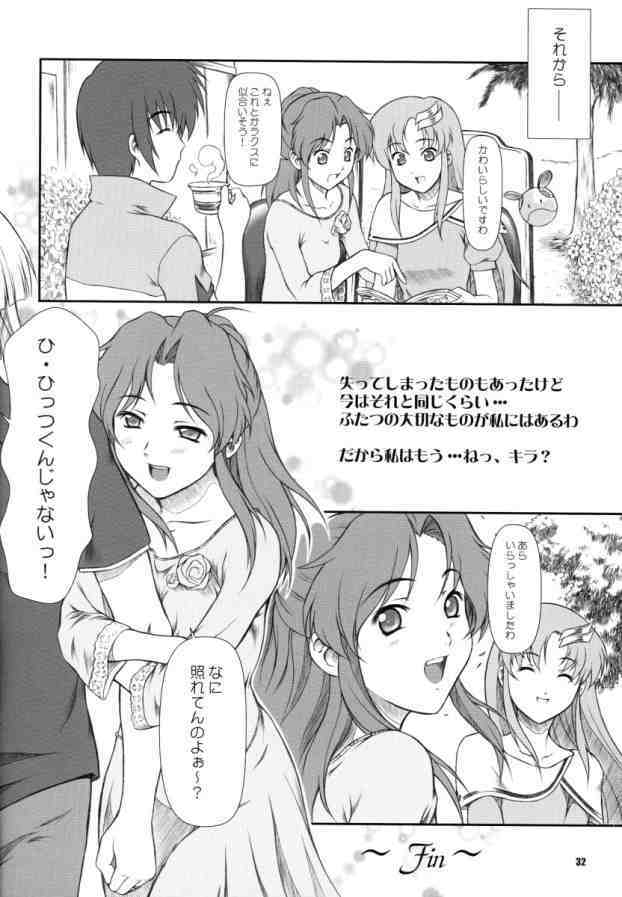[Otogiya (Mizuki Haruto)] Battle of Twins ~Ketsumatsu no Kizuna~ (Gundam Seed) page 31 full