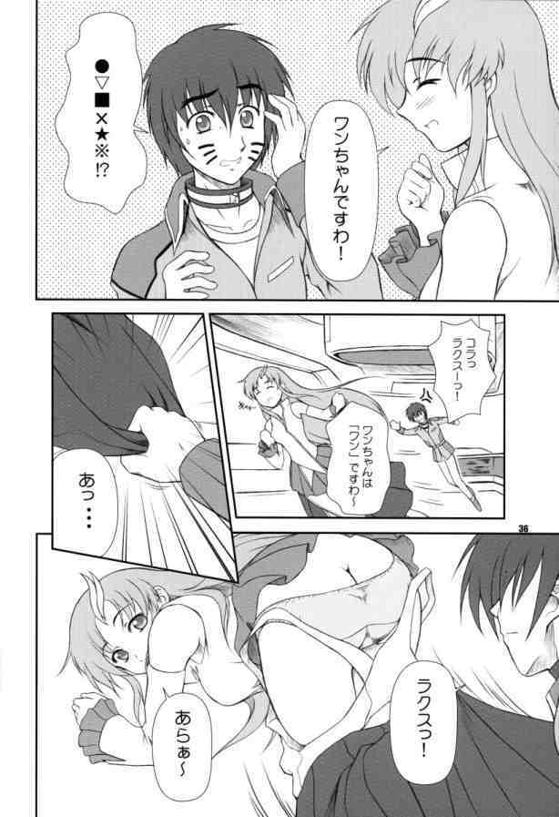 [Otogiya (Mizuki Haruto)] Battle of Twins ~Ketsumatsu no Kizuna~ (Gundam Seed) page 35 full