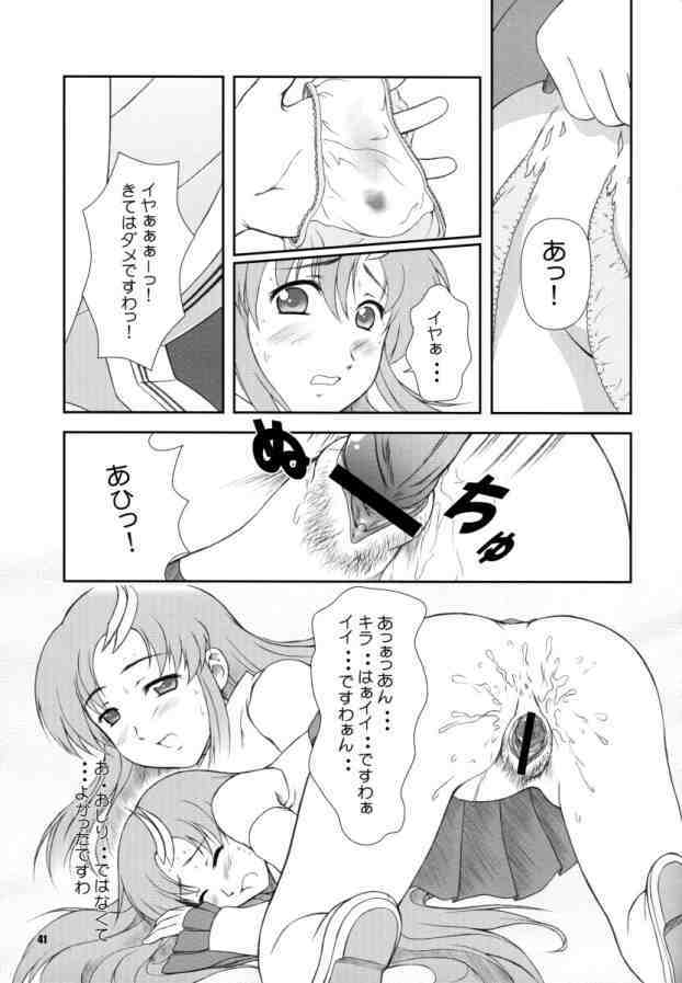 [Otogiya (Mizuki Haruto)] Battle of Twins ~Ketsumatsu no Kizuna~ (Gundam Seed) page 40 full