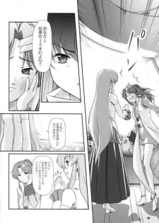 [Otogiya (Mizuki Haruto)] Battle of Twins ~Ketsumatsu no Kizuna~ (Gundam Seed) - page 27