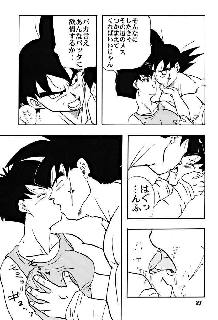 (C51) [Chirigami Goya, Fusuma go Ten (Shoji Hariko)] ZZZ (DRAGON BALL) page 27 full