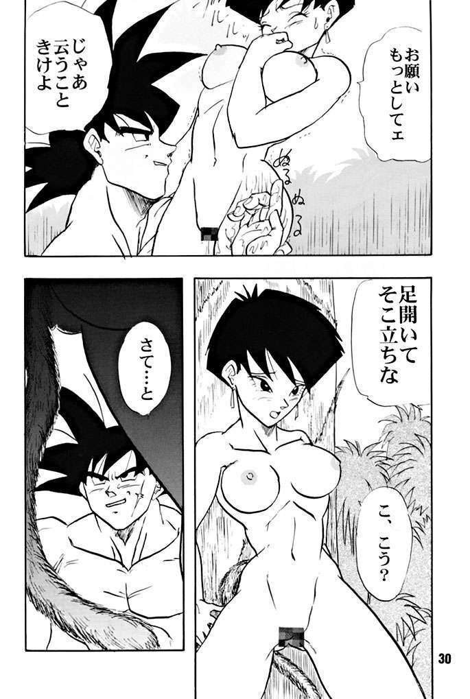 (C51) [Chirigami Goya, Fusuma go Ten (Shoji Hariko)] ZZZ (DRAGON BALL) page 30 full