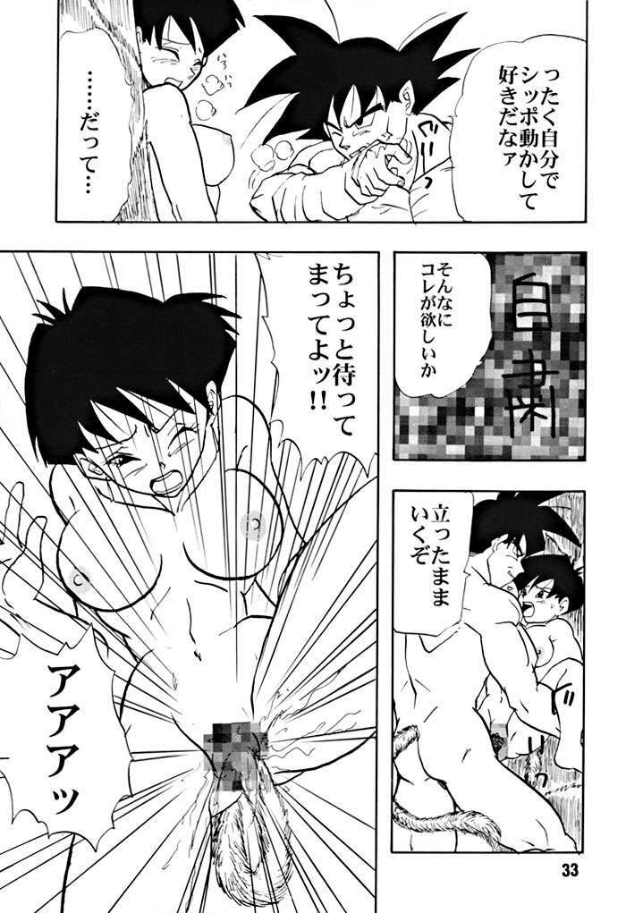 (C51) [Chirigami Goya, Fusuma go Ten (Shoji Hariko)] ZZZ (DRAGON BALL) page 33 full