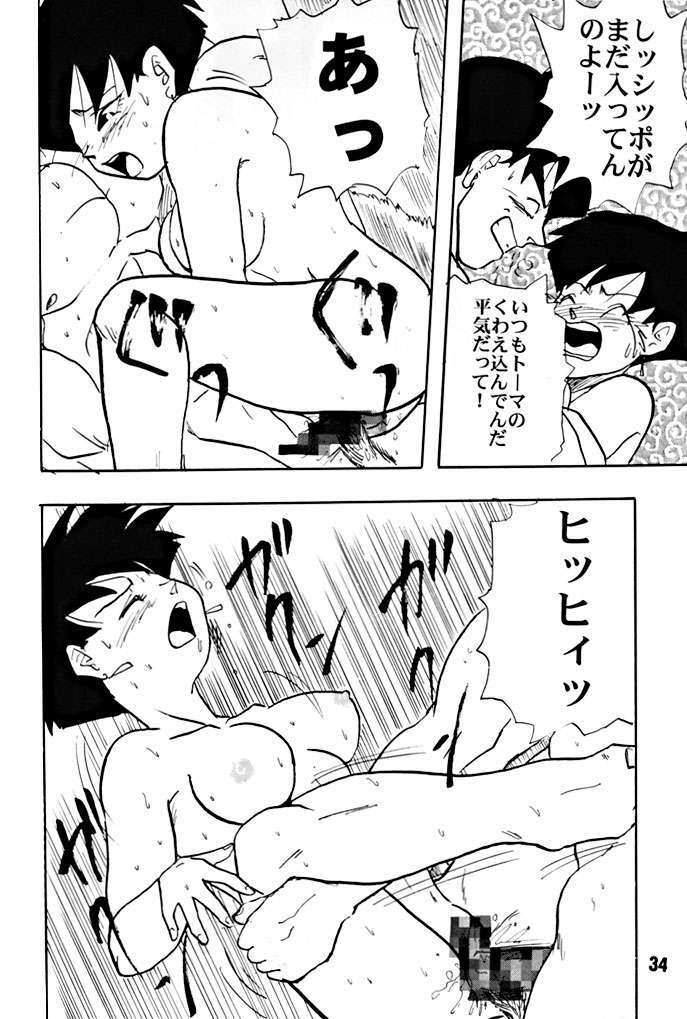 (C51) [Chirigami Goya, Fusuma go Ten (Shoji Hariko)] ZZZ (DRAGON BALL) page 34 full