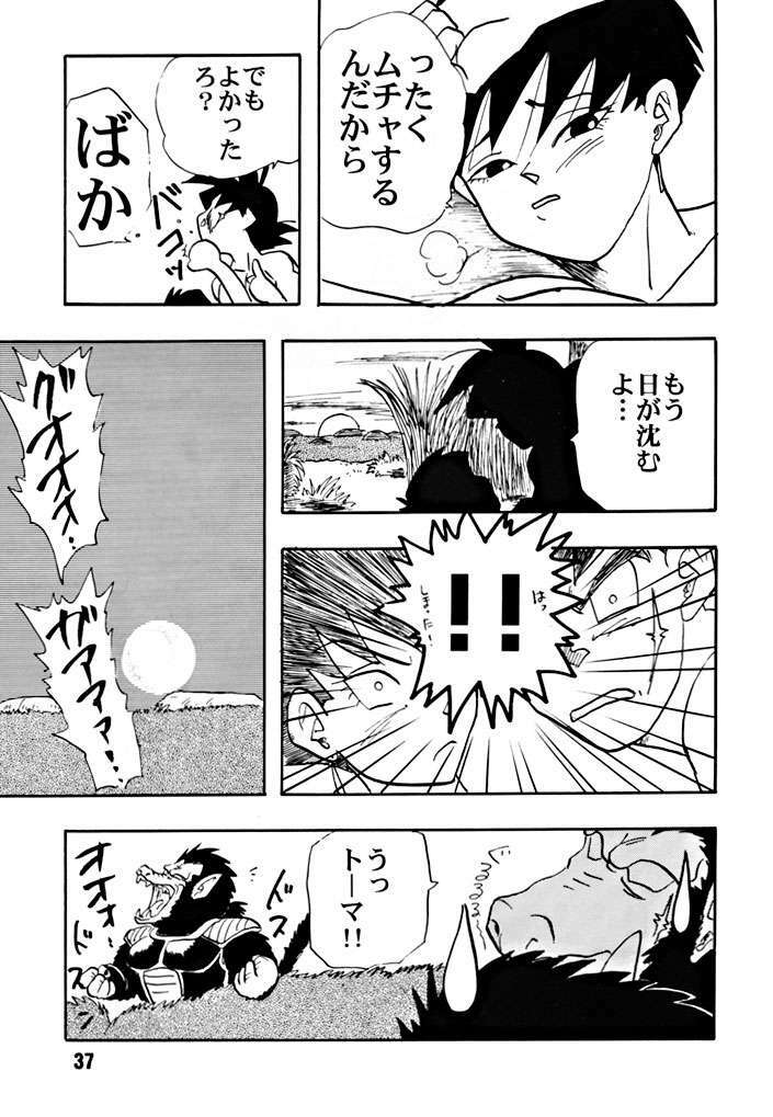 (C51) [Chirigami Goya, Fusuma go Ten (Shoji Hariko)] ZZZ (DRAGON BALL) page 37 full