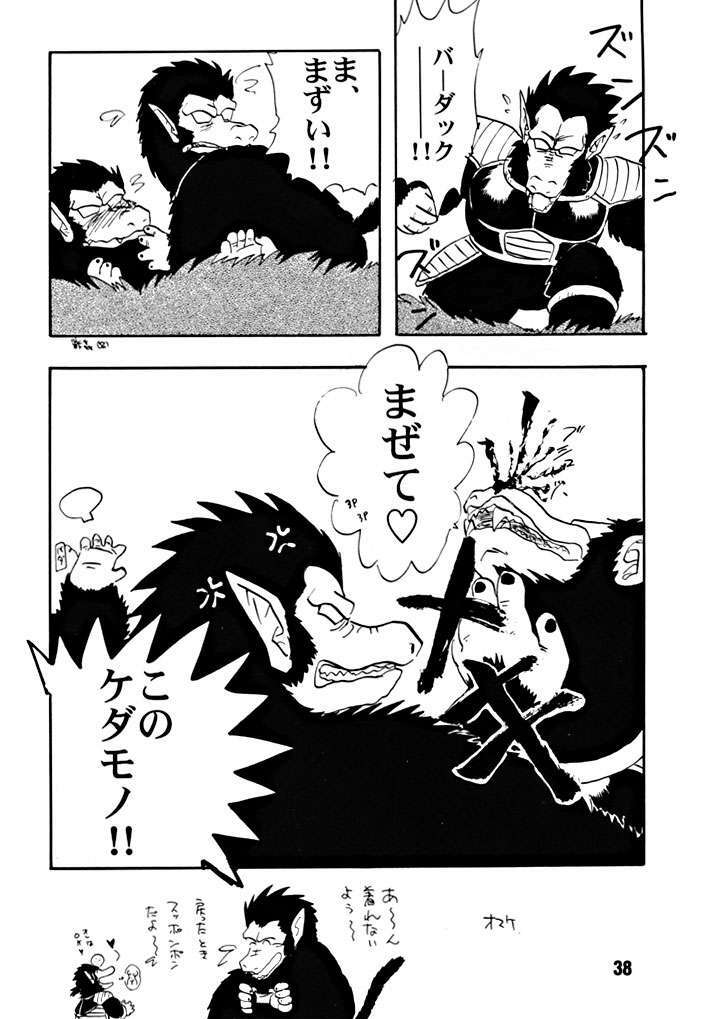 (C51) [Chirigami Goya, Fusuma go Ten (Shoji Hariko)] ZZZ (DRAGON BALL) page 38 full