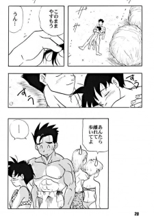 (C51) [Chirigami Goya, Fusuma go Ten (Shoji Hariko)] ZZZ (DRAGON BALL) - page 20