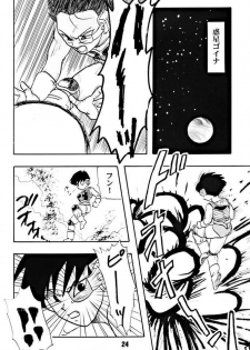 (C51) [Chirigami Goya, Fusuma go Ten (Shoji Hariko)] ZZZ (DRAGON BALL) - page 24