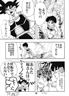 (C51) [Chirigami Goya, Fusuma go Ten (Shoji Hariko)] ZZZ (DRAGON BALL) - page 25