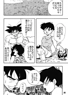 (C51) [Chirigami Goya, Fusuma go Ten (Shoji Hariko)] ZZZ (DRAGON BALL) - page 26