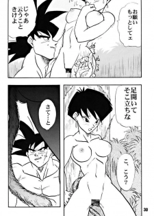 (C51) [Chirigami Goya, Fusuma go Ten (Shoji Hariko)] ZZZ (DRAGON BALL) - page 30