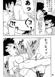 (C51) [Chirigami Goya, Fusuma go Ten (Shoji Hariko)] ZZZ (DRAGON BALL) - page 34