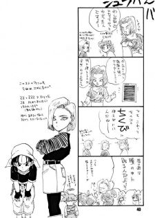(C51) [Chirigami Goya, Fusuma go Ten (Shoji Hariko)] ZZZ (DRAGON BALL) - page 40