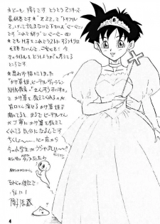 (C51) [Chirigami Goya, Fusuma go Ten (Shoji Hariko)] ZZZ (DRAGON BALL) - page 4