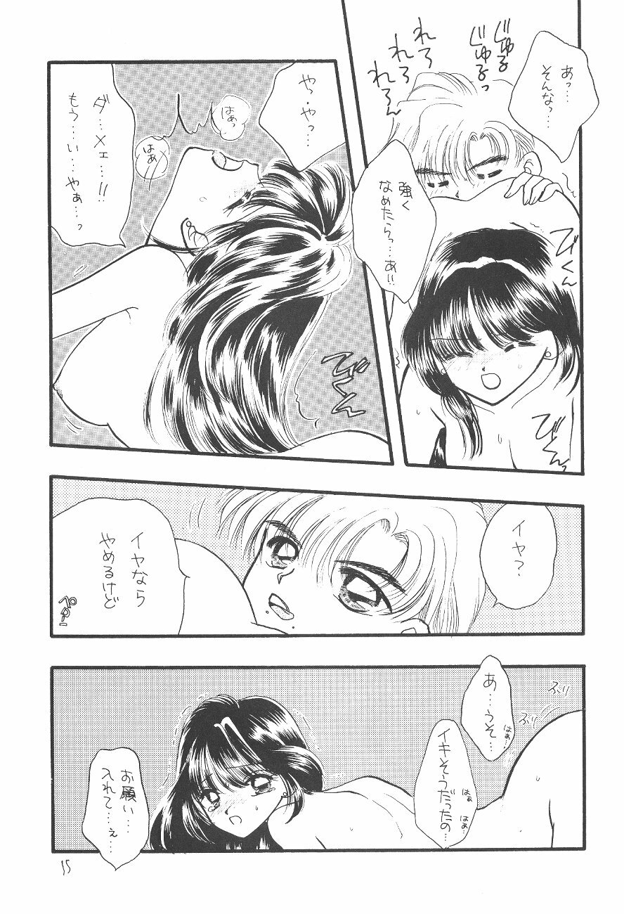 [SAILORQ2 (RYÖ, Den)] Ayakaritai65 (Bishoujo Senshi Sailor Moon) page 15 full