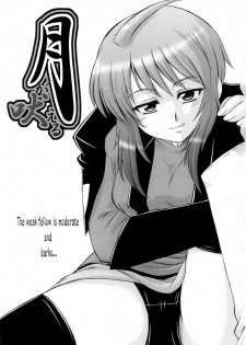 (C69) [G-R (Akiyama Kenta)] Tsuki ga Hoeru | The Moon Barks (Gundam Seed Destiny) [English] {SaHa} - page 2