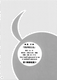 (C69) [G-R (Akiyama Kenta)] Tsuki ga Hoeru | The Moon Barks (Gundam Seed Destiny) [English] {SaHa} - page 33