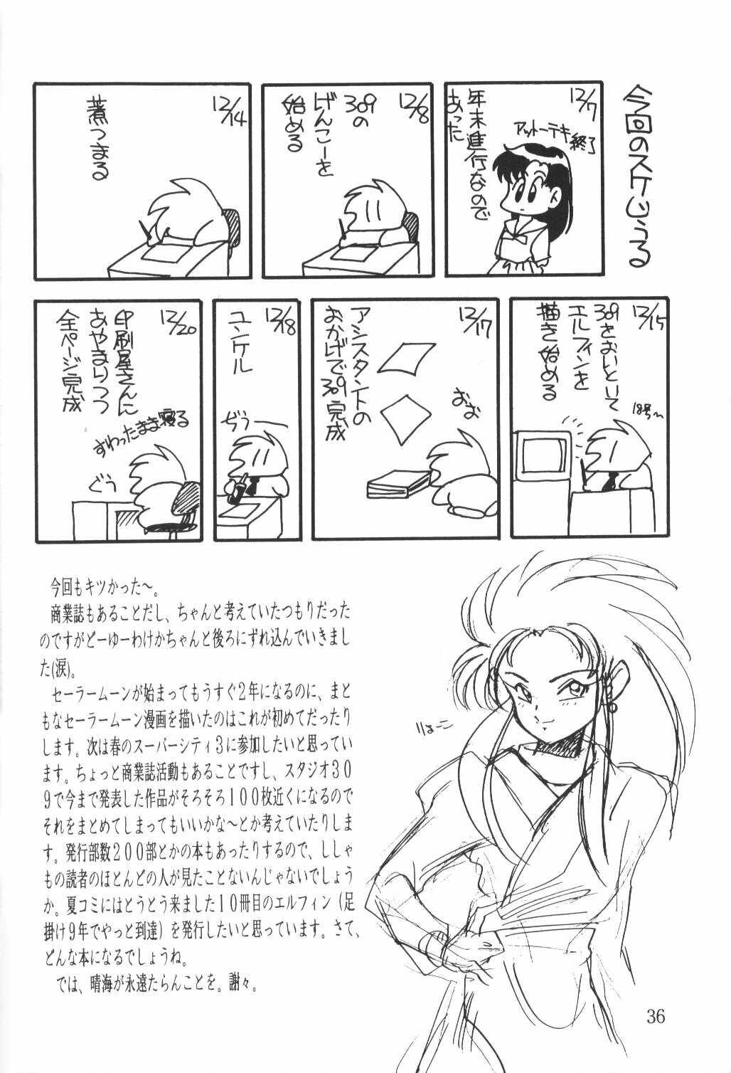 (C45) [Shishamo House (Araki Akira)] Elfin 9 (Bishoujo Senshi Sailor Moon) page 35 full