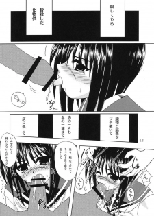 (C66) [PINKVISION (Tsuduki Masaki)] Koutetsu-Otome (Various) - page 15