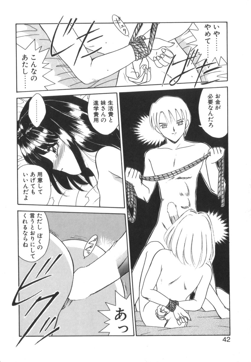 [Akifuji Satoshi] Tsunagareta Ashita Hikisakareta Mirai (Detain the Tommorow, Tore up the Future) page 44 full