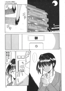 [Akifuji Satoshi] Tsunagareta Ashita Hikisakareta Mirai (Detain the Tommorow, Tore up the Future) - page 11