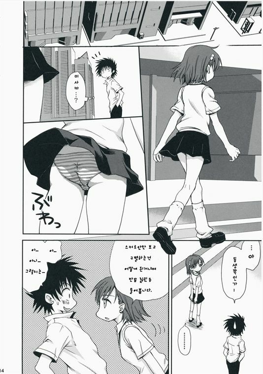 (C75) [Takumi na Muchi] Choudenji Hou no Aishikata (Toaru Kagaku no Railgun) [Korean] page 13 full