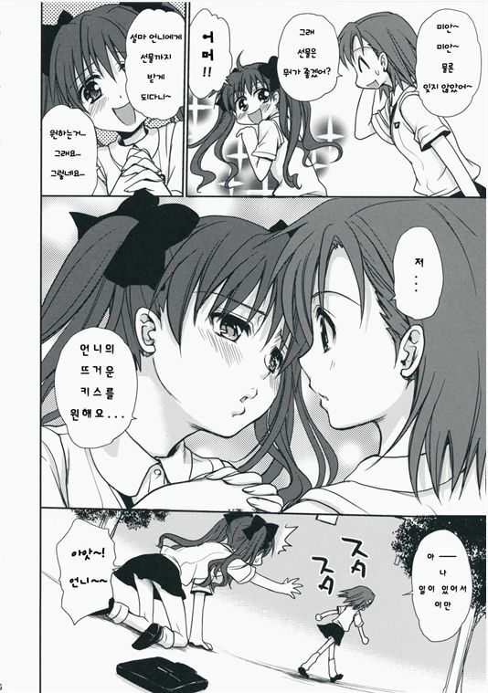 (C75) [Takumi na Muchi] Choudenji Hou no Aishikata (Toaru Kagaku no Railgun) [Korean] page 4 full