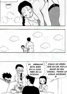 Dragon Ball Adult [Spanish] - page 15