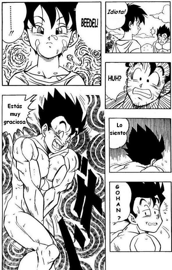 Dragon Ball H (Dragon Ball Z) [Spanish] page 15 full