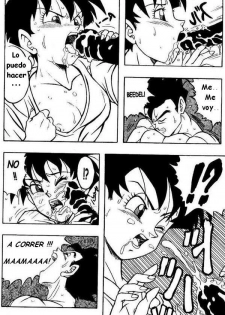 Dragon Ball H (Dragon Ball Z) [Spanish] - page 14