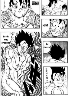 Dragon Ball H (Dragon Ball Z) [Spanish] - page 15