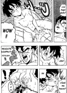 Dragon Ball H (Dragon Ball Z) [Spanish] - page 20