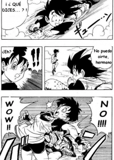 Dragon Ball H (Dragon Ball Z) [Spanish] - page 4