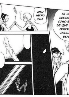Esposas (Dragon Ball Z) [Spanish] - page 13