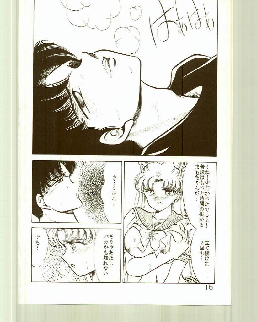 (C44) [Echigo-ya Kikaku (Negura Nao)] N-DANCER (Bishoujo Senshi Sailor Moon) page 17 full