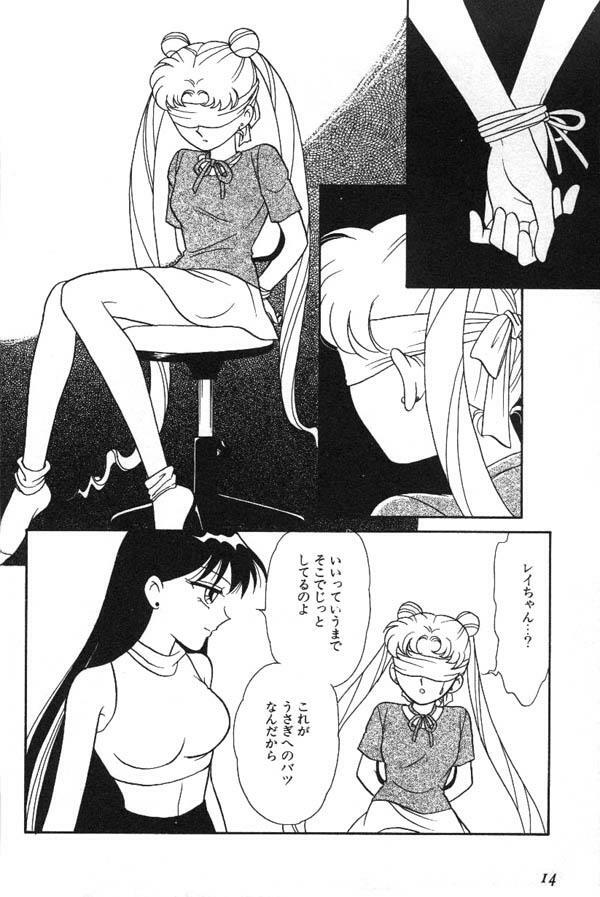 [Anthology] Lunatic Party 6 (Sailor Moon) page 15 full