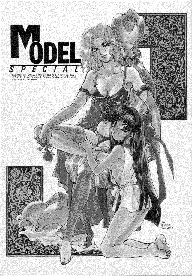 (C45) [METAL (Various)] MODEL SPECIAL (Various) page 194 full